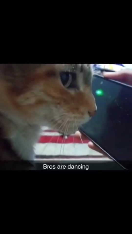 TikTok video thumbnail by mlky27