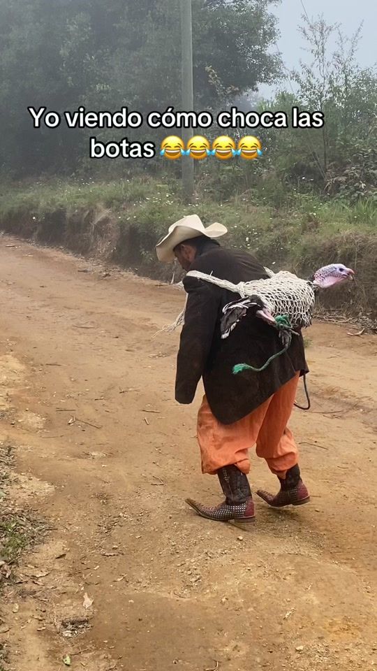 TikTok video thumbnail by tiocarlito80