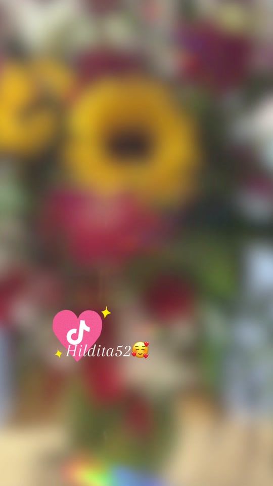 TikTok video thumbnail by hildita52