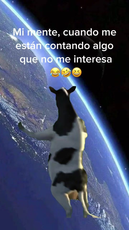 TikTok video thumbnail by walterv660