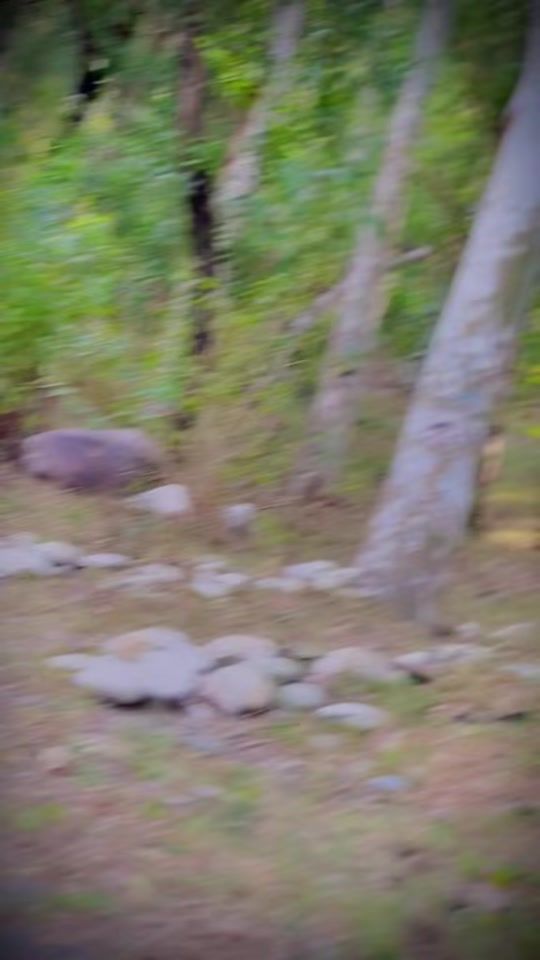TikTok video thumbnail by hamidkhan9821