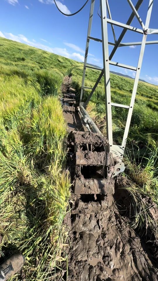 TikTok video thumbnail by idahofarmer