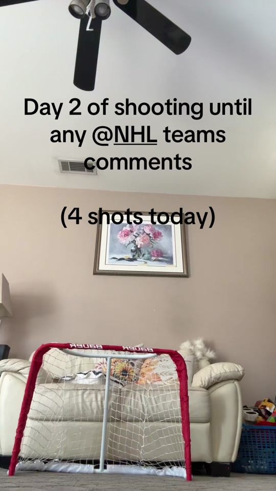 TikTok video thumbnail by whodosentlikehockey