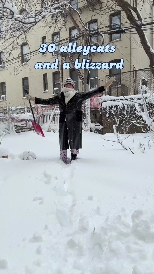 TikTok video thumbnail by angemariano