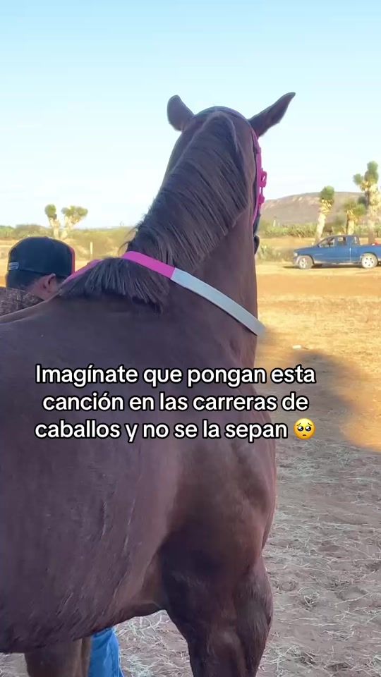 TikTok video thumbnail by cuadrasantacruz.zac