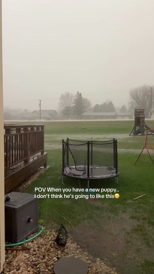 TikTok video thumbnail by paige081719