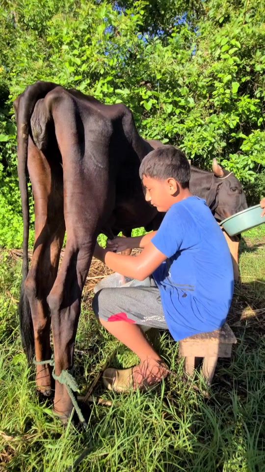TikTok video thumbnail by mister.garra