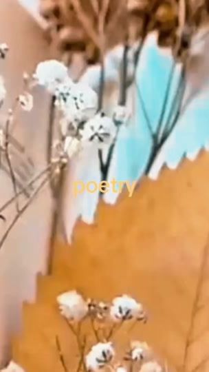 TikTok video thumbnail by softdayswithsam