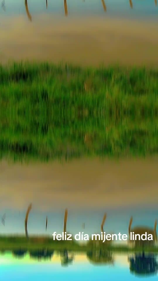 TikTok video thumbnail by raul.blanco078