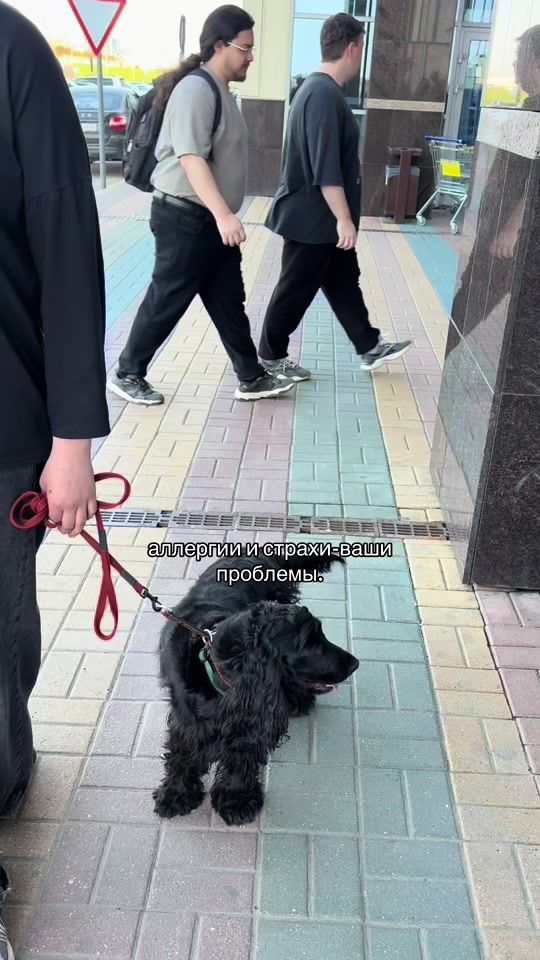 TikTok video thumbnail by dober.granda