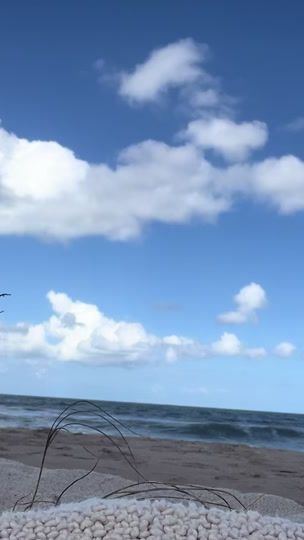 TikTok video thumbnail by trinity.rodman