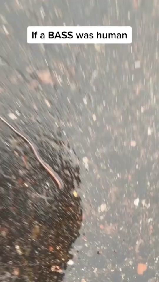TikTok video thumbnail by bassinwithjay