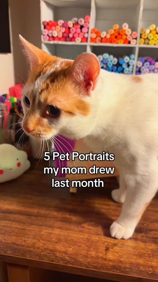TikTok video thumbnail by heyshedraws