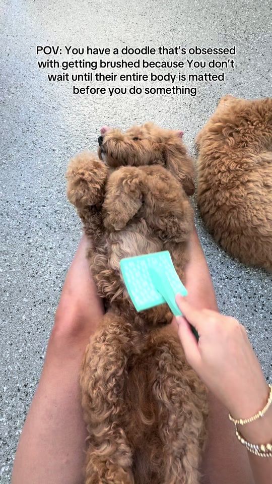 TikTok video thumbnail by chlocov