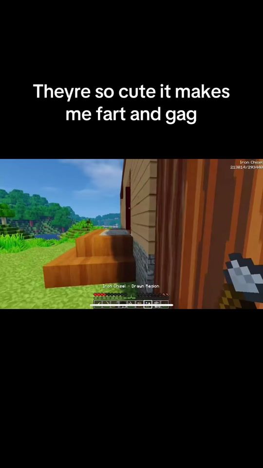 TikTok video thumbnail by robinstarline