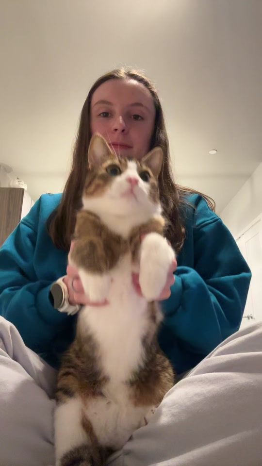 TikTok video thumbnail by emily_mikaa