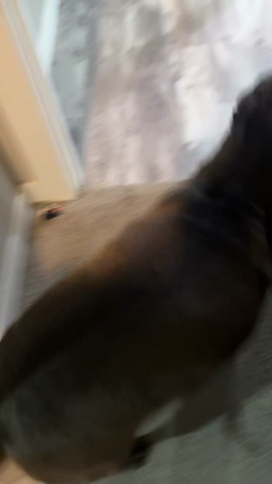 TikTok video thumbnail by ratchy.d.pit