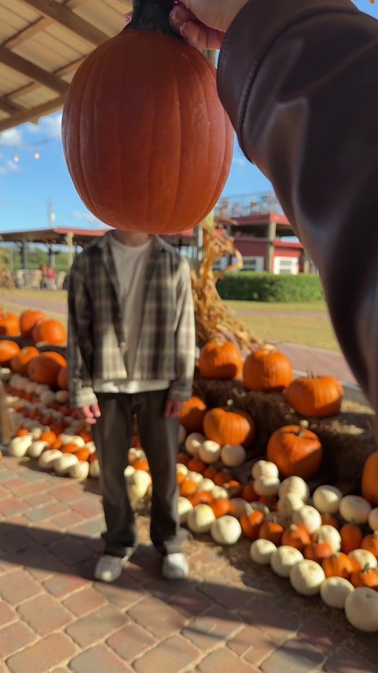 TikTok video thumbnail by rowanxeldridge