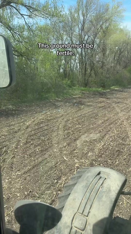TikTok video thumbnail by cjranch