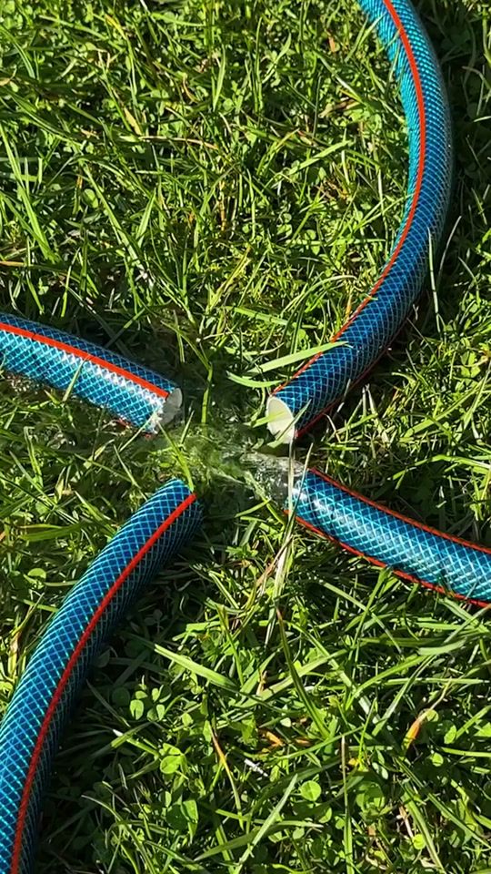 TikTok video thumbnail by 5.min.green