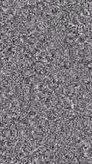 TikTok video thumbnail by brain_static101