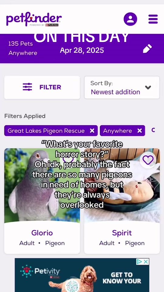 TikTok video thumbnail by peskypersimmon