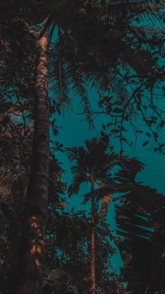 TikTok video thumbnail by music_alfred1