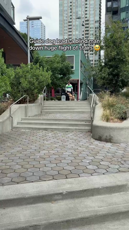 TikTok video thumbnail by matthewandpaul