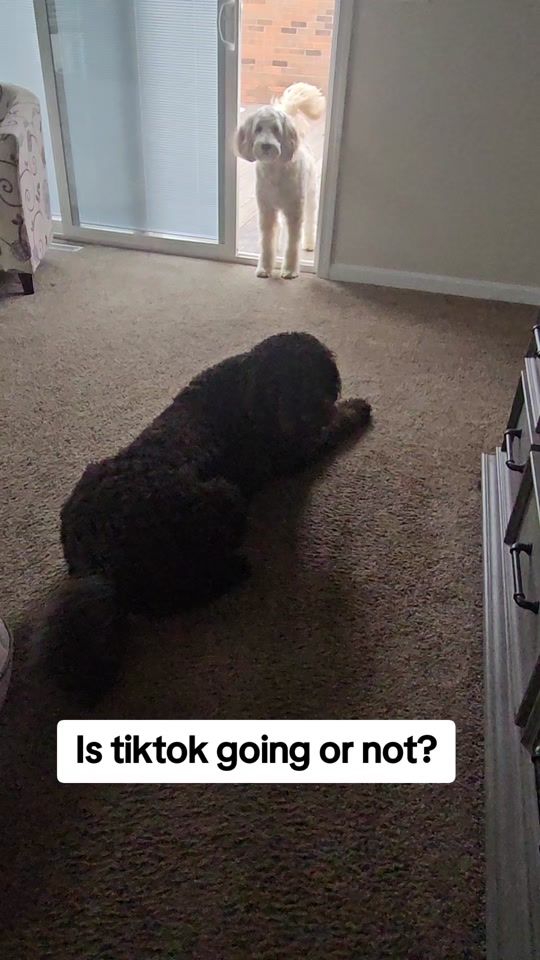 TikTok video thumbnail by christieembrymart