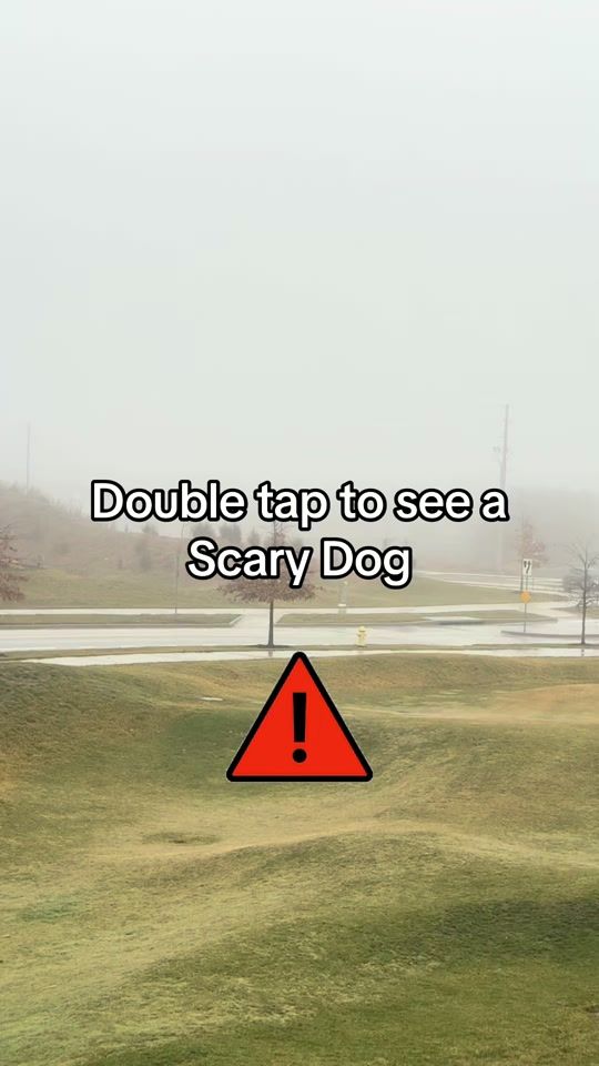 TikTok video thumbnail by scoutfin91