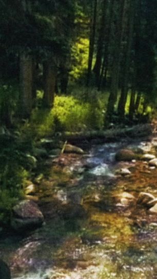 TikTok video thumbnail by getridoffred