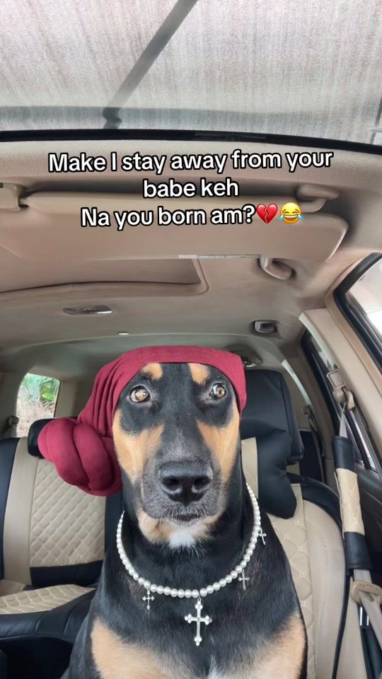 TikTok video thumbnail by zeldadiaries