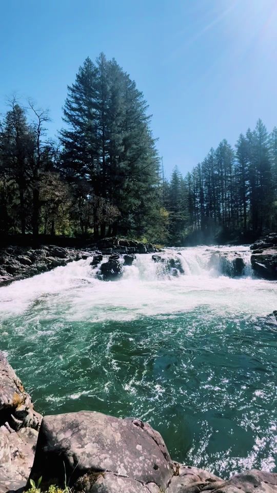 TikTok video thumbnail by homebirth_hikingpnw
