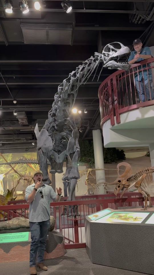TikTok video thumbnail by duranosaur