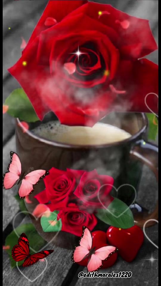 TikTok video thumbnail by edithmorales1220