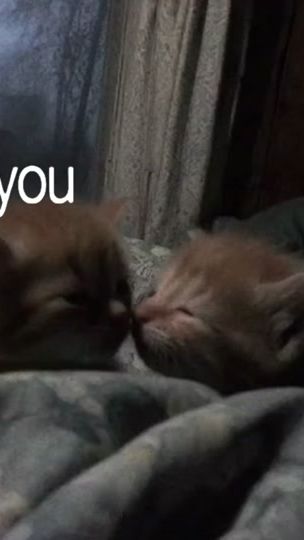 TikTok video thumbnail by s0rrowmusic