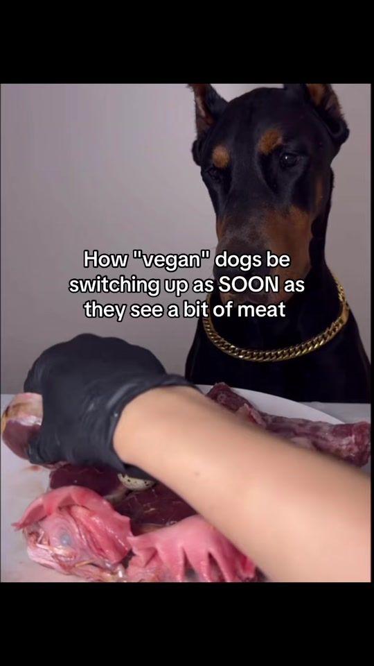 TikTok video thumbnail by monk1y3