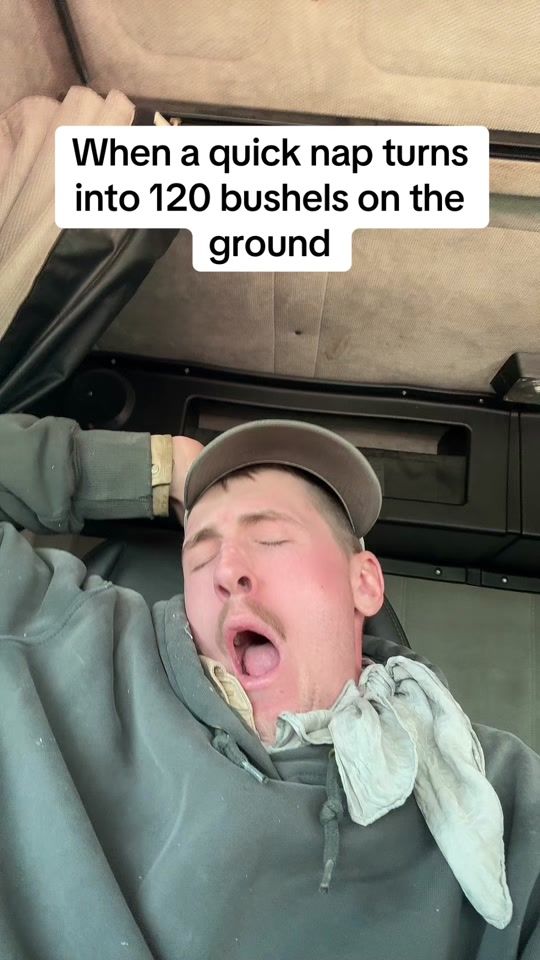 TikTok video thumbnail by immafermer