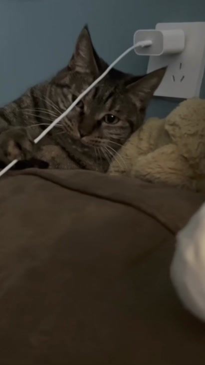 TikTok video thumbnail by dsnilo.ambul