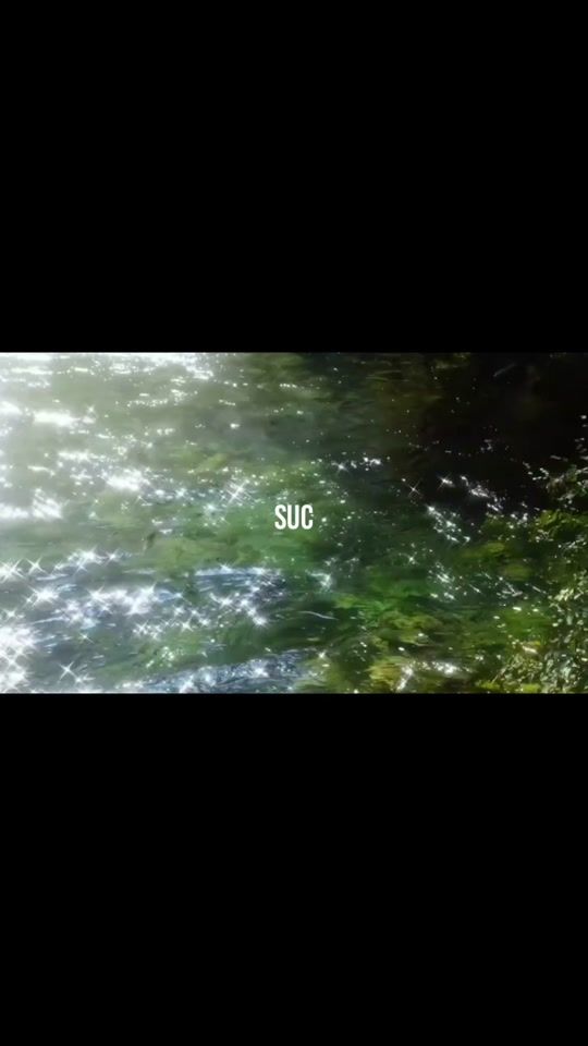 TikTok video thumbnail by zzz__1011