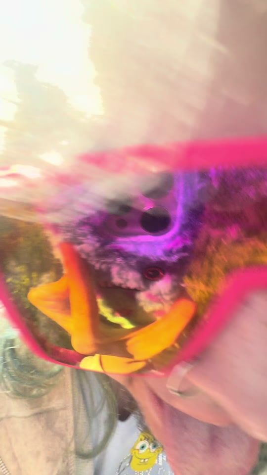 TikTok video thumbnail by starzyy