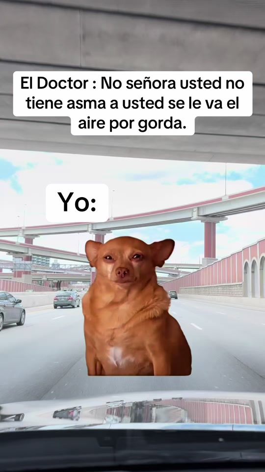 TikTok video thumbnail by miguelmendoza_vlog