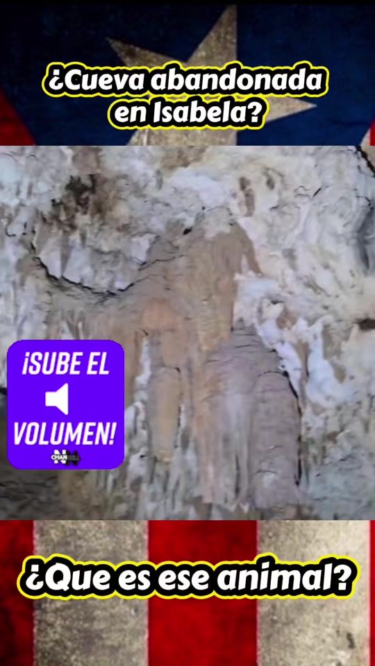 TikTok video thumbnail by enterateboricua