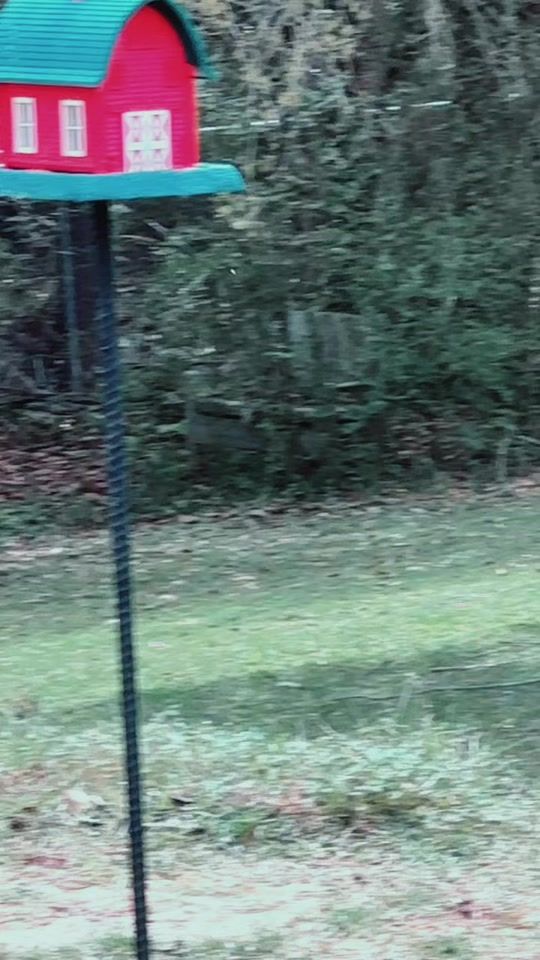 TikTok video thumbnail by fayewsmith