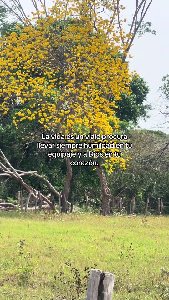 TikTok video thumbnail by 256herrera