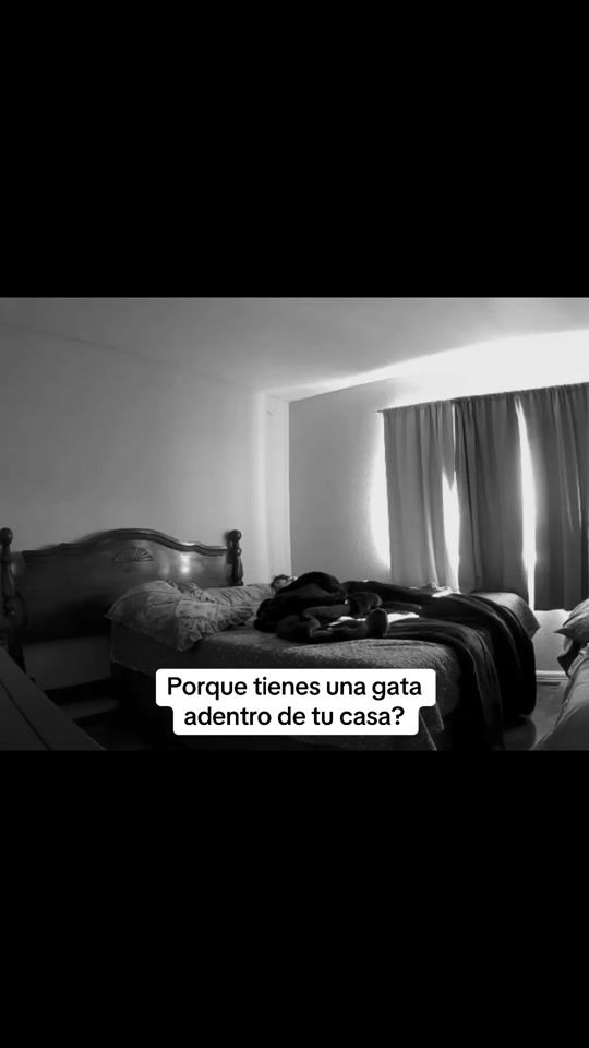 TikTok video thumbnail by may_dela_rosa