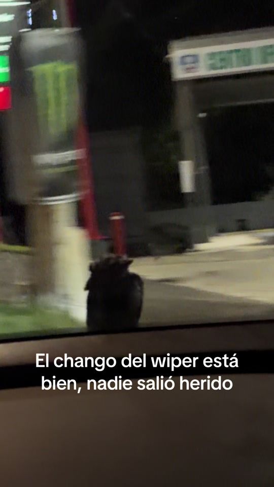 TikTok video thumbnail by otin_rose