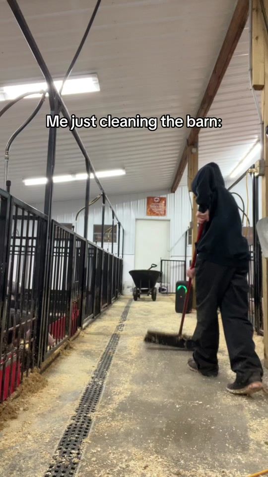 TikTok video thumbnail by schiffty2