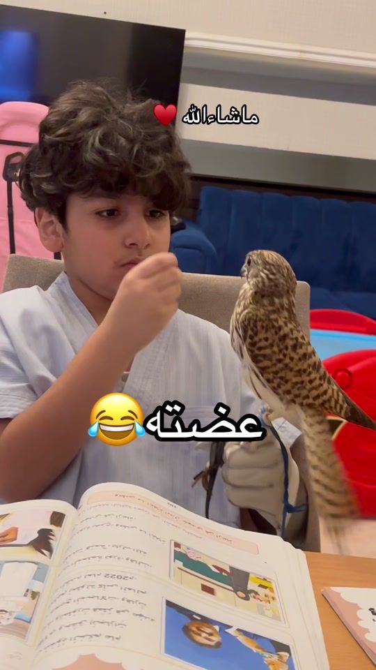 TikTok video thumbnail by tandk_