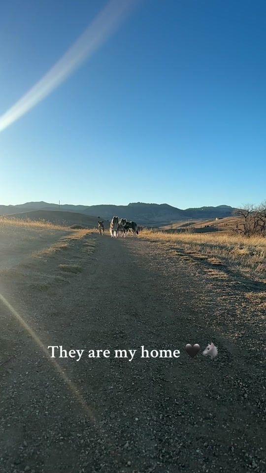 TikTok video thumbnail by findyoursummit